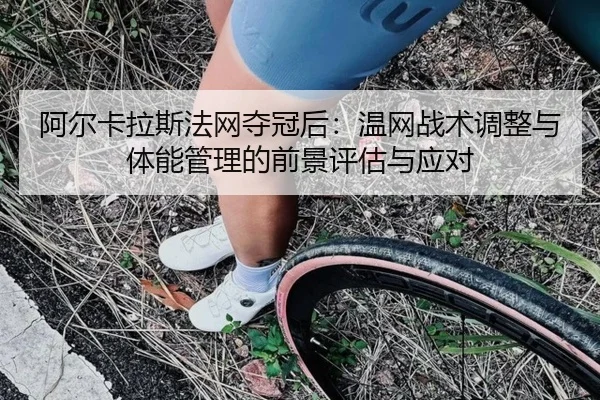 a-er-ka-la-si-fa-wang-duo-guan-hou-wen-wang-zhan-shu-tiao-zheng-yu-ti-neng-guan-li-de-qian-jing-ping-gu-yu-ying-dui-2-549.jpg